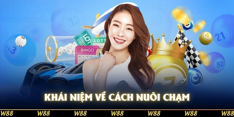 Khái niệm về cách nuôi chạm đề khung 3 ngày