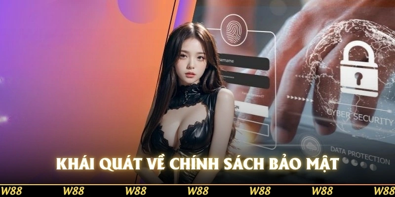 Khái quát cơ bản về các chính sách bảo mật