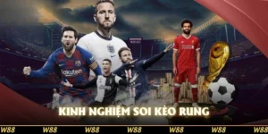 kinh nghiệm soi kèo rung