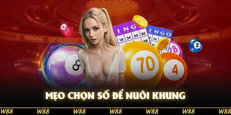 Mẹo chọn số để nuôi khung 5 ngày