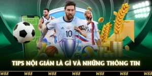 tips nội gián là gì